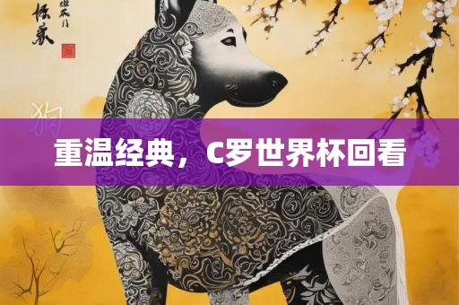 重温经典，C罗世界杯回看