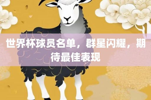 世界杯球员名单，群星闪耀，期待最佳表现