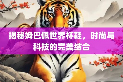 揭秘姆巴佩世界杯鞋，时尚与科技的完美结合