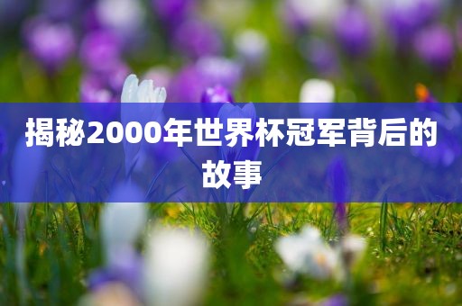 揭秘2000年世界杯冠军背后的故事吉安市靖泰电力工程有限公司