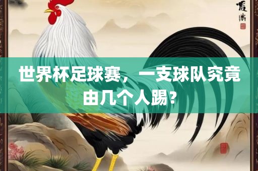 吉安市靖泰电力工程有限公司世界杯足球赛，一支球队究竟由几个人踢？