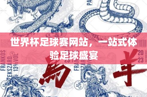 世界杯足球赛网站，一站式体验足球盛宴