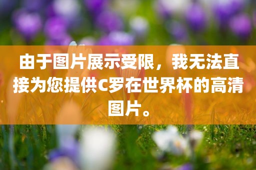 由于图片展示受限，我无法直接为您提供C罗在世界杯的高清图片。