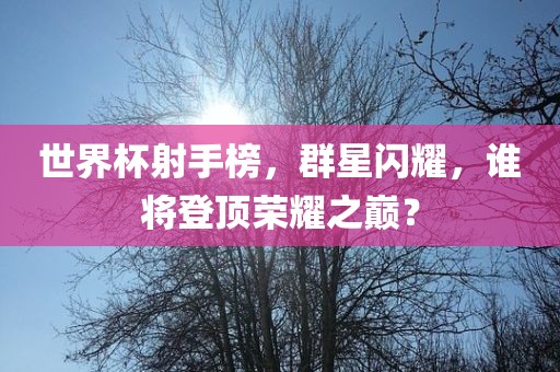 世界杯射手榜，群星闪耀，谁将登顶荣耀之巅？