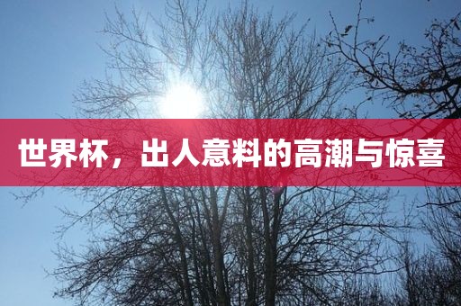 世界杯，出人意料的高潮与惊喜