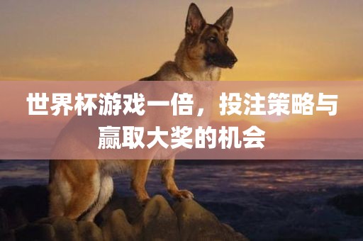 世界杯游戏一倍，投注策略与赢取大奖的机会