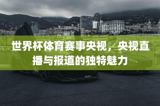 世界杯体育赛事央视，央视直播与报道的独特魅力