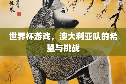 世界杯游戏，澳大利亚队的希望与挑战