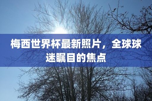 梅西世界杯最新照片，全球球迷瞩目的焦点