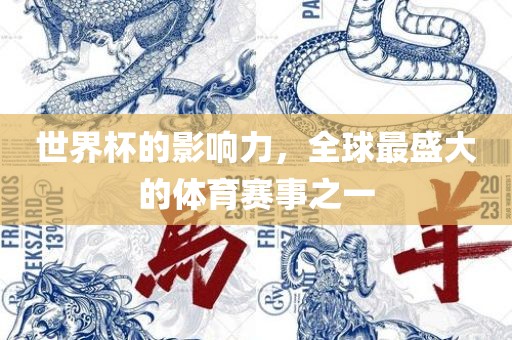 世界杯的影响力，全球最盛大的体育赛事之一