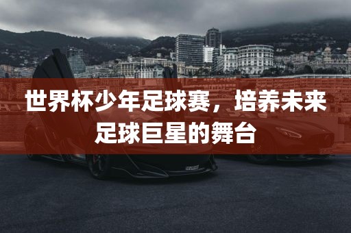 世界杯少年足球赛，培养未来足球巨星的舞台