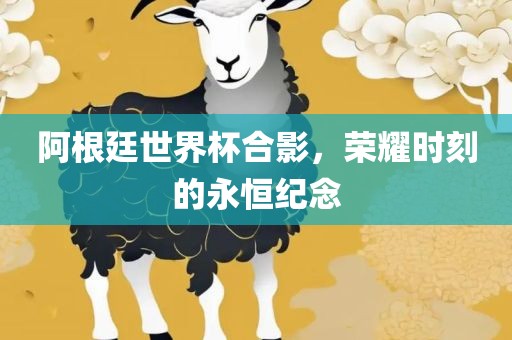 阿根廷世界杯合影，荣耀时刻的永恒纪念