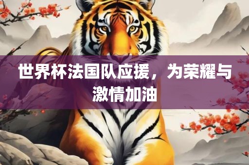 世界杯法国队应援，为荣耀与激情加油