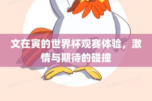 文在寅的世界杯观赛体验，激情与期待的碰撞