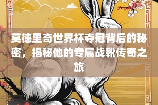 莫德里奇世界杯夺冠背后的秘密，揭秘他的专属战靴传奇之旅