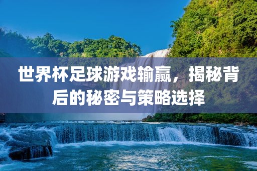 世界杯足球游戏输赢，揭秘背后的秘密与策略选择