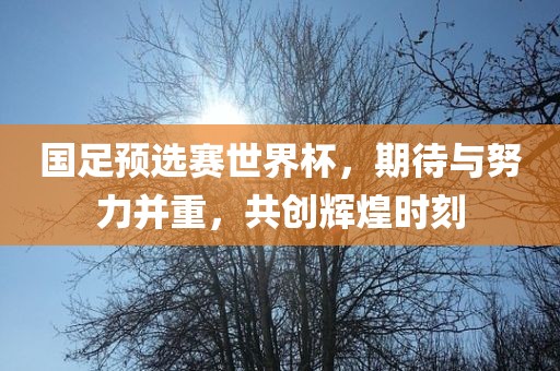 国足预选赛世界杯，期待与努力并重，共创辉煌时刻
