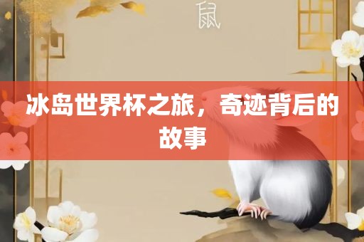 冰岛世界杯之旅，奇迹背后的故事
