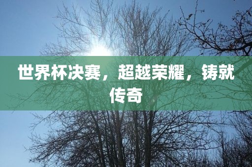 世界杯决赛，超越荣耀，铸就传奇