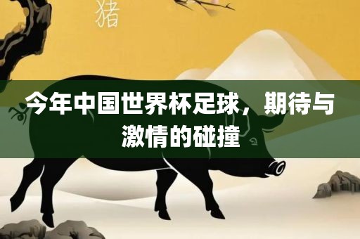今年中国世界杯足球，期待与激情的碰撞