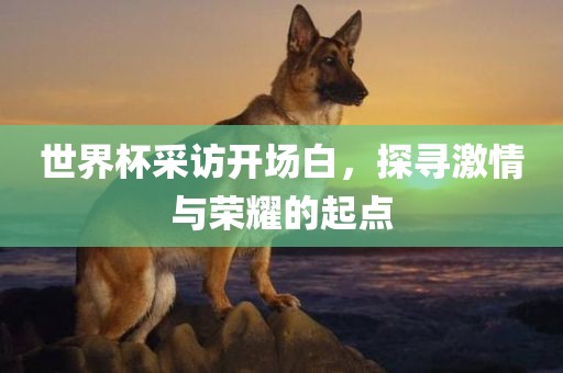 世界杯采访开场白，探寻激情与荣耀的起点