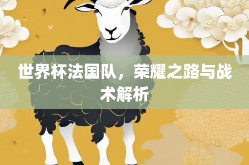 世界杯法国队，荣耀之路与战术解析