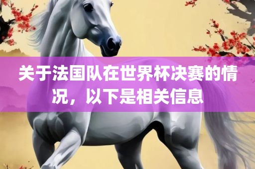 关于法国队在世界杯决赛的情况，以下是相关信息