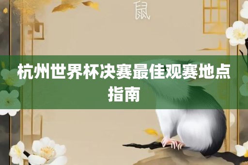 杭州世界杯决赛最佳观赛地点指南