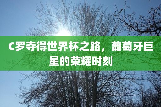 C罗夺得世界杯之路，葡萄牙巨星的荣耀时刻