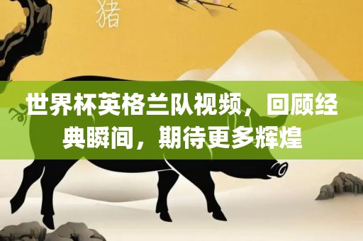 世界杯英格兰队视频，回顾经典瞬间，期待更多辉煌