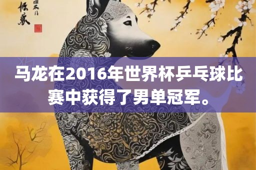 马龙在2016年世界杯乒乓球比赛中获得了男单冠军。