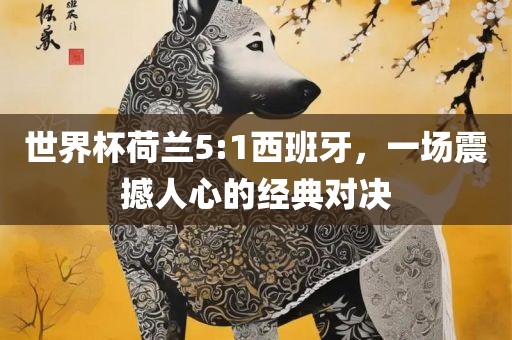 世界杯荷兰5:1西班牙，一场震撼人心的经典对决