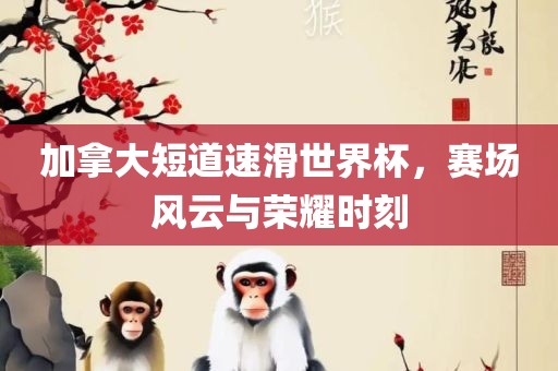 加拿大短道速滑世界杯，赛场风云与荣耀时刻吉安市靖泰电力工程有限公司