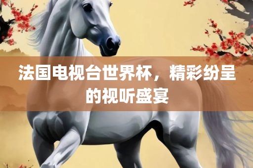 法国电视台世界杯，精彩纷呈的视听盛宴