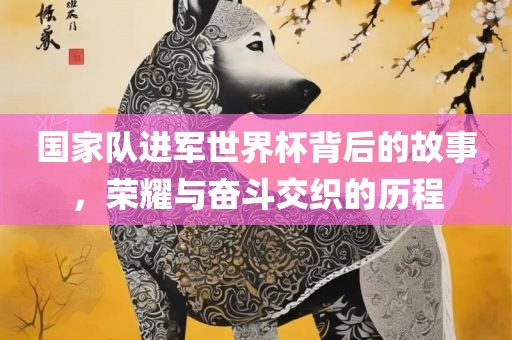 国家队进军世界杯背后的故事，荣耀与奋斗交织的历程