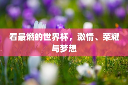 看最燃的世界杯，激情、荣耀与梦想