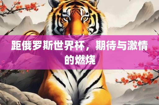 距俄罗斯世界杯，期待与激情的燃烧