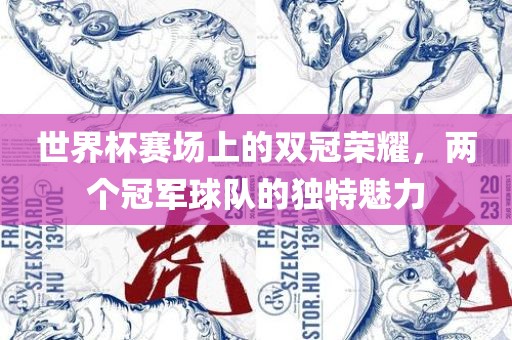 世界杯赛场上的双冠荣耀，两个冠军球队的独特魅力