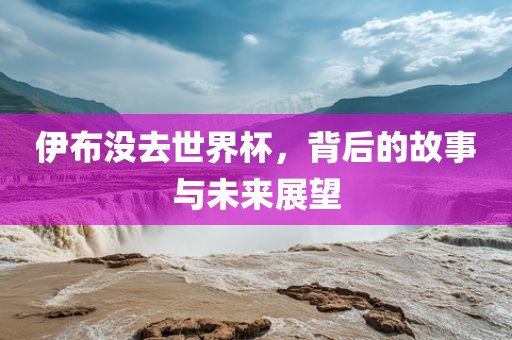 伊布没去世界杯，背后的故事与未来展望
