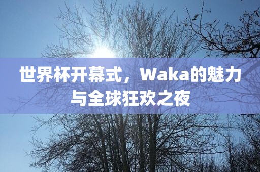 世界杯开幕式，Waka的魅力与全球狂欢之夜