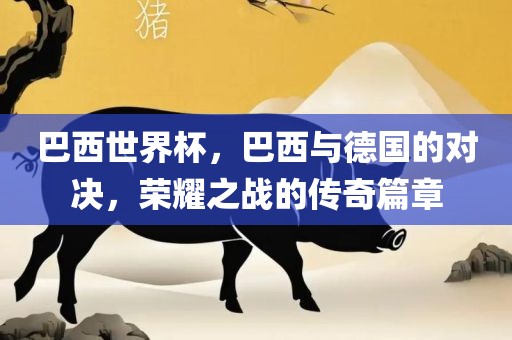 巴西世界杯，巴西与德国的对决，荣耀之战的传奇篇章