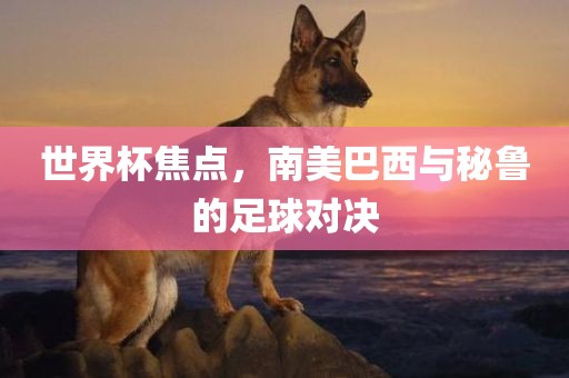 世界杯焦点，南美巴西与秘鲁的足球对决