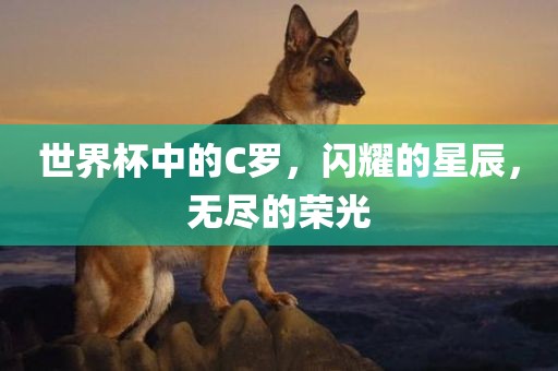 世界杯中的C罗，闪耀的星辰，无尽的荣光