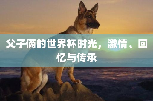 父子俩的世界杯时光，激情、回忆与传承
