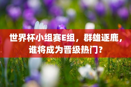 世界杯小组赛E组，群雄逐鹿，谁将成为晋级热门？