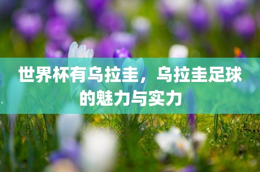 世界杯有乌拉圭，乌拉圭足球的魅力与实力吉安市靖泰电力工程有限公司