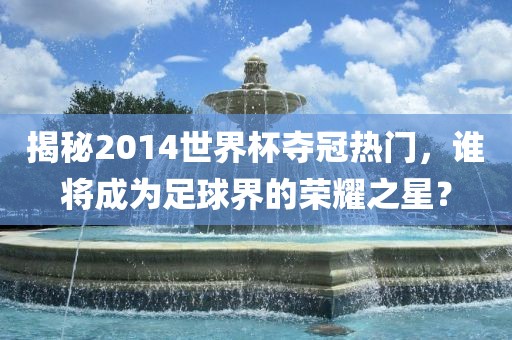 揭秘2014世界杯夺冠热门，谁将成为足球界的荣耀之星？
