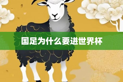 国足为什么要进世界杯