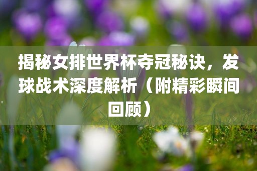 揭秘女排世界杯夺冠秘诀，发球战术深度解析（附精彩瞬间回顾）