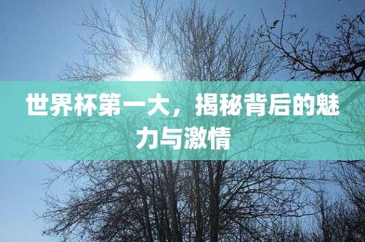 世界杯第一大，揭秘背后的魅力与激情吉安市靖泰电力工程有限公司